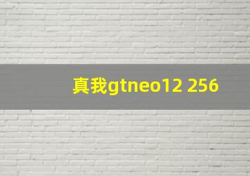 真我gtneo12 256